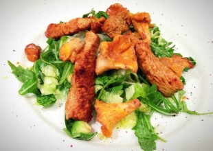 Salat mit Hühnerbruststreifen und Eierschwammerl